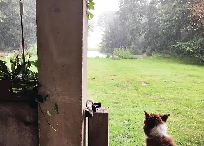 Dom wakacyjny In With Kitchen