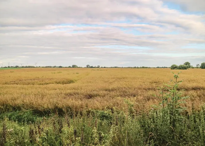 Dom wakacyjny In With Kitchen